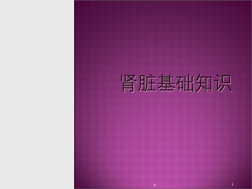 肾病基础知识