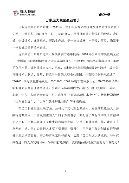 山东远大集团企业简介