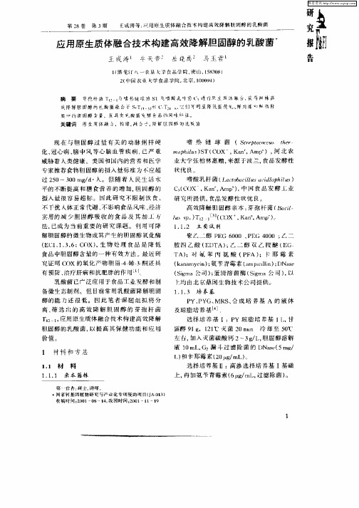 应用原生质体融合技术构建高效降解胆固醇的乳酸菌