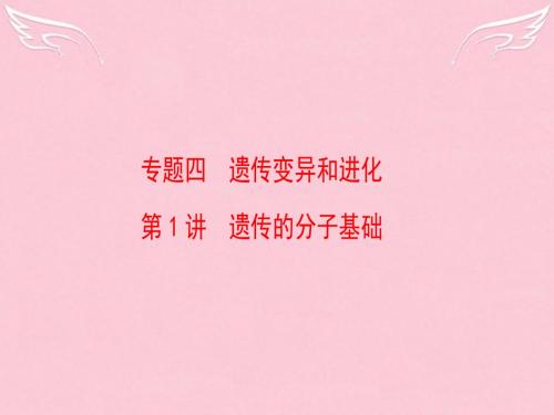 2016版高考生物二轮复习 第1部分 专题4 第1讲 遗传的分子基础课件