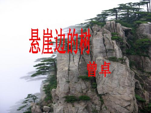 悬崖边的树PPT课件2 河大版 (共18张PPT)