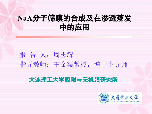 周志辉NaA分子筛膜的合成及在渗透蒸发中的应用 .ppt