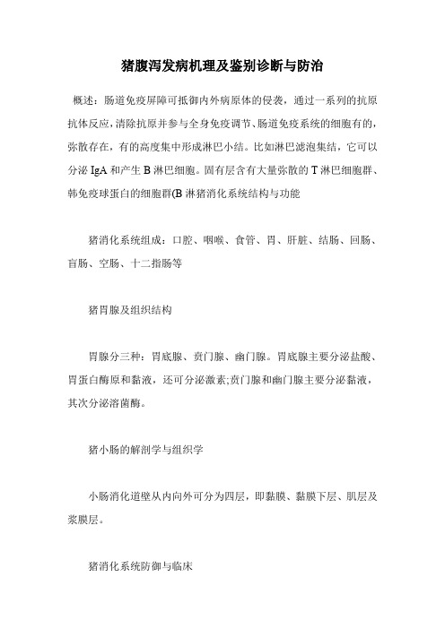 猪腹泻发病机理及鉴别诊断与防治.doc