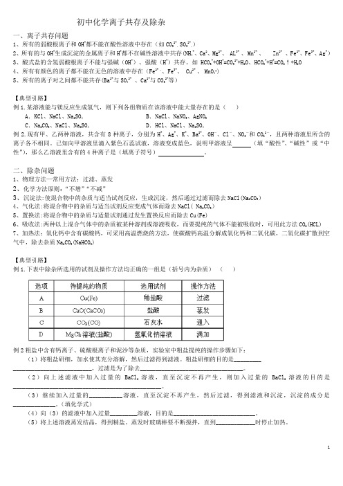 初中化学离子共存及除杂