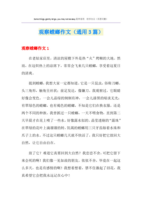 观察螳螂作文(通用3篇)