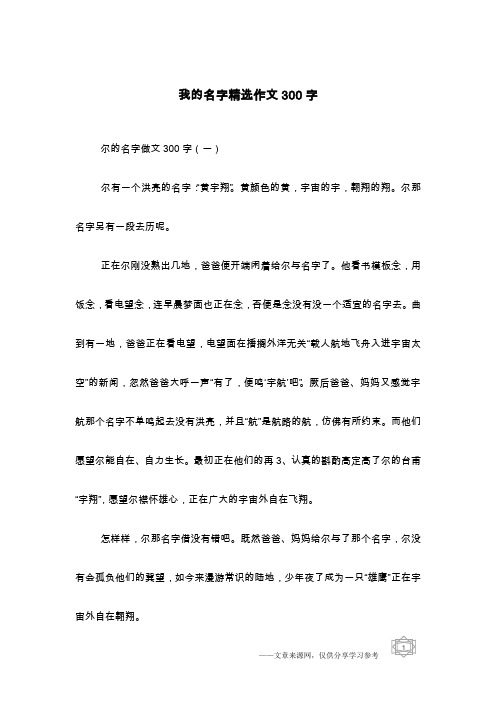 我的名字精选作文300字