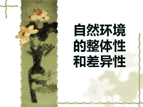 整体性和差异性