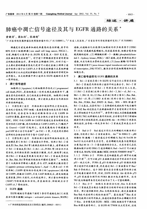 肺癌中凋亡信号途径及其与EGFR通路的关系