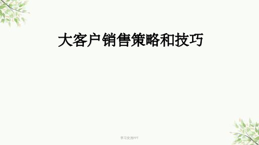 大客户销售策略和技巧课件