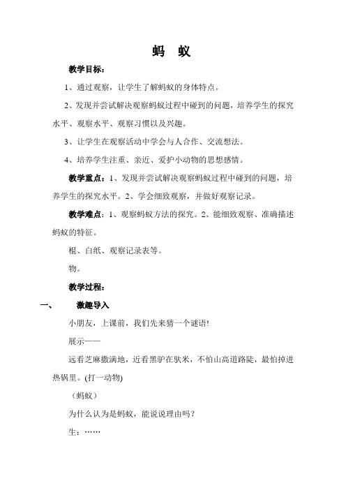 大象2001版小学科学三年级上《第四单元 有趣的动物  1 寻访蚂蚁》优质课教学设计_7