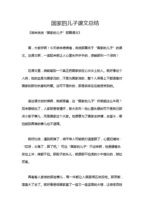 国家的儿子课文总结