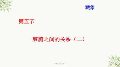 脏腑之间的关系二课件