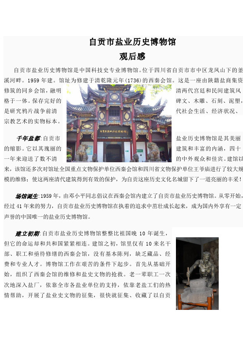 自贡市盐业历史博物馆观后感