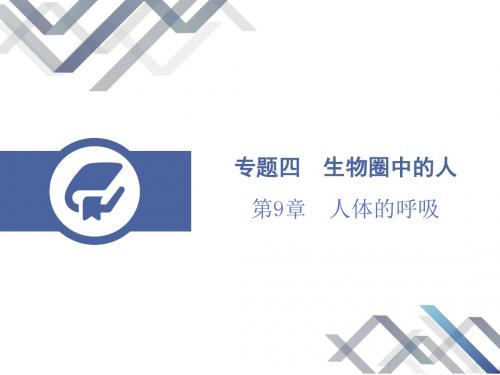 2019届中考生物总复习课件：第9章  人体的呼吸.pptx (共18张PPT)