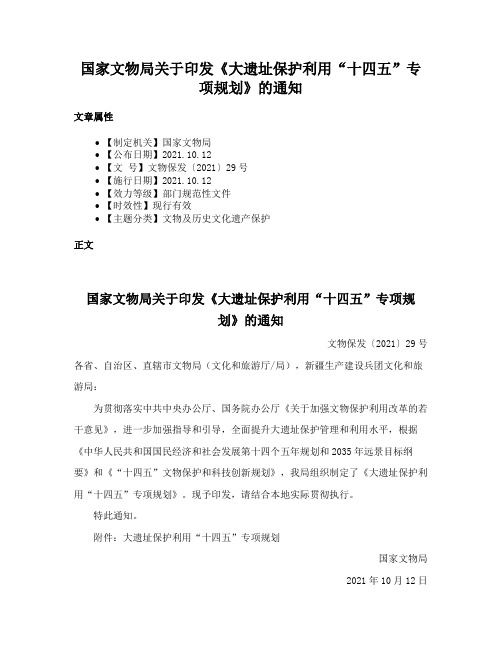 国家文物局关于印发《大遗址保护利用“十四五”专项规划》的通知