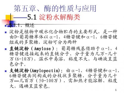 第五章淀粉酶性质应用2011