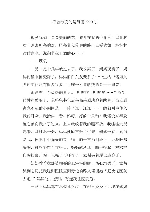 不曾改变的是母爱_900字