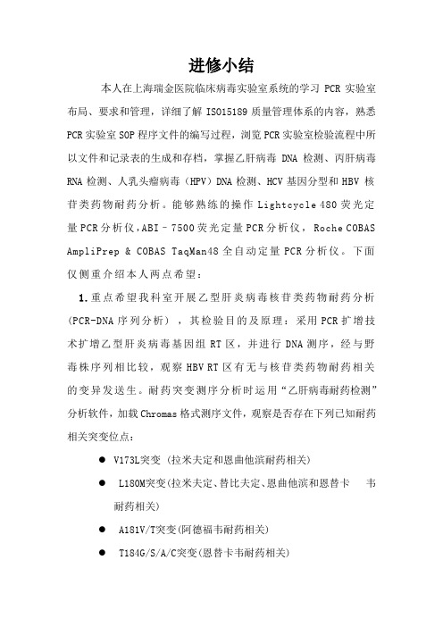 进修总结