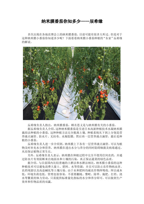 纳米膜番茄你知多少——辰希缘