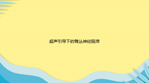 超声引导下的臂丛神经阻滞推选PPT文档