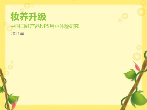 口红产品NPS用户体验研究报告PPT课件