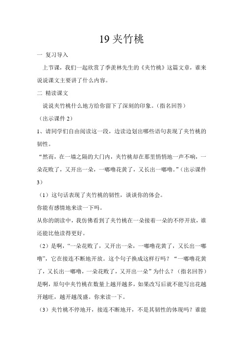 19课夹竹桃