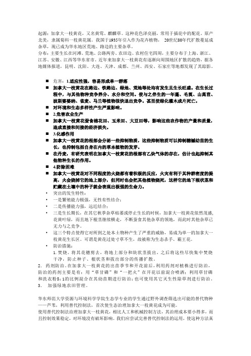 加拿大一枝黄花