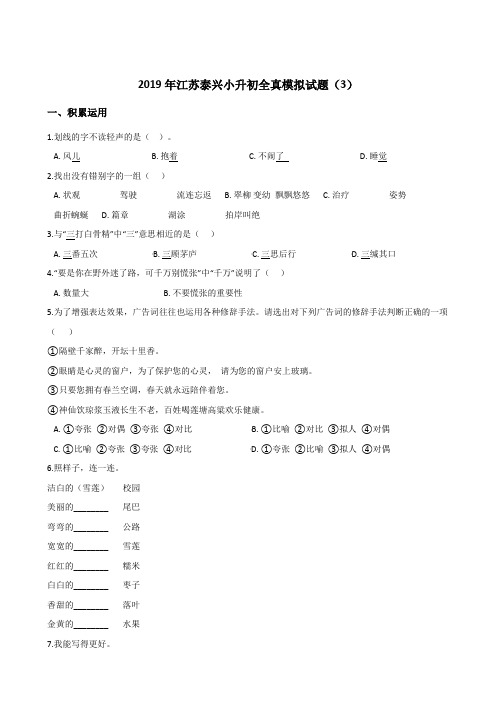 六年级下册语文试题--2019年江苏泰兴小升初全真模拟试题3全国通用 含答案
