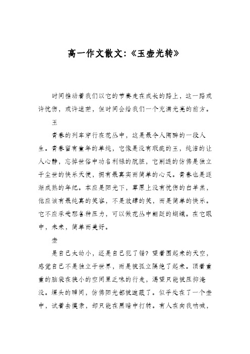 高一作文散文：《玉壶光转》