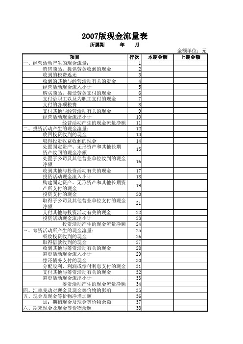 2007版现金流量表