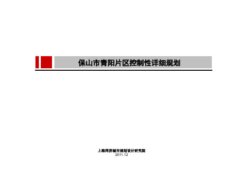 青阳片区控制性详细规划