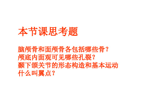 解剖学教学课件：3颅骨及其连结