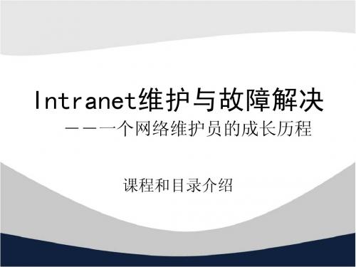 Intranet维护与故障解决