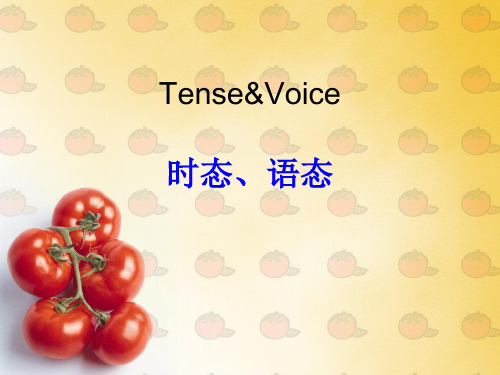 英语语法复习(tense and voice)