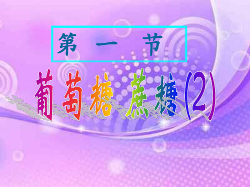 蔗糖PPT教学课件