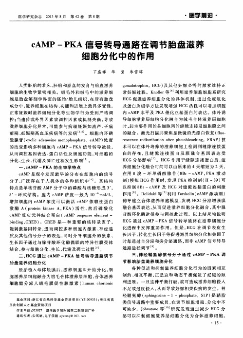 cAMP—PKA信号转导通路在调节胎盘滋养细胞分化中的作用