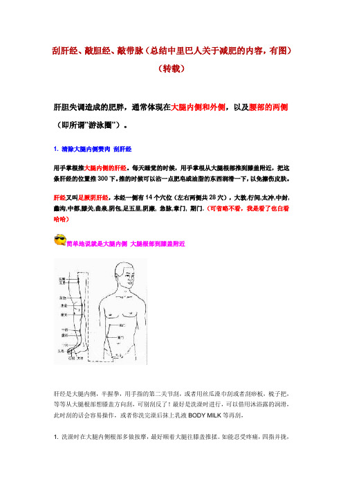 刮肝经、敲胆经、敲带脉(总结中里巴人关于减肥的内容)