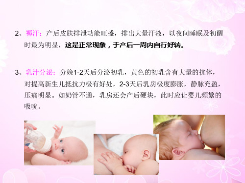 孕妇学校课程2ppt课件