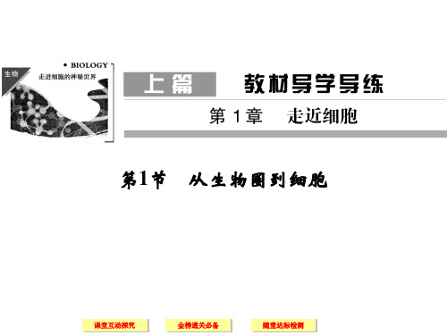 高中生物必修一第一章第一节  走近细胞