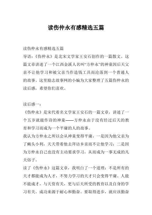 读伤仲永有感精选五篇