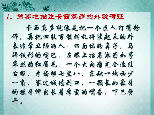 《巴黎圣母院》重要情节概括 ppt课件