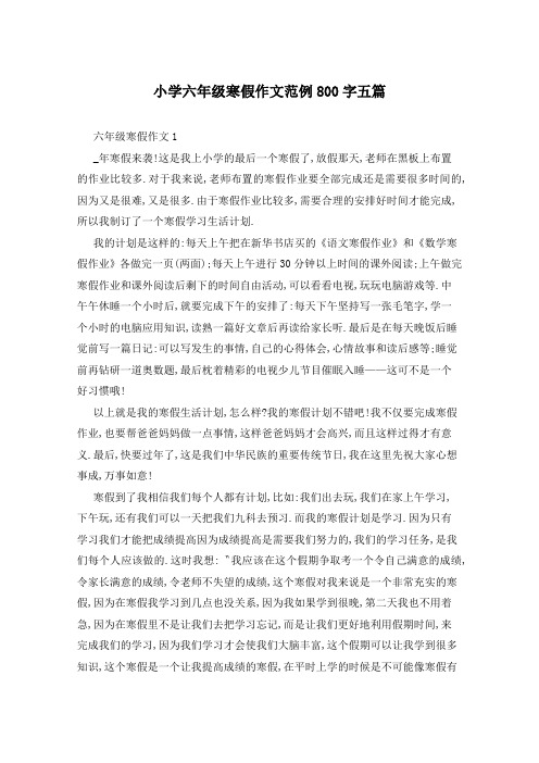 小学六年级寒假作文范例800字五篇