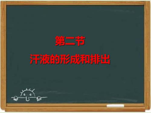 鲁科版七年级生物上册《汗液的形成和排出》课件