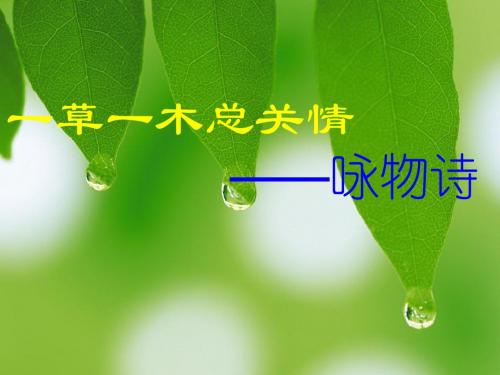 借物抒情__教案