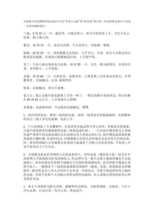 仓鼠品种