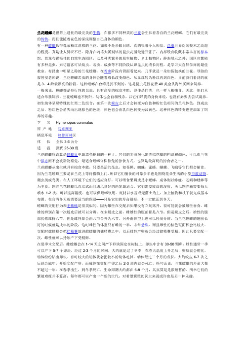 兰花螳螂