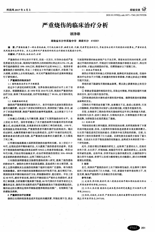 严重烧伤的临床治疗分析