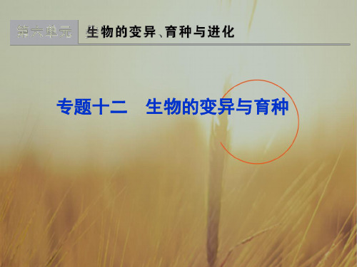 学法大视野2018版高考生物一轮课件：专题12-生物的变异与育种