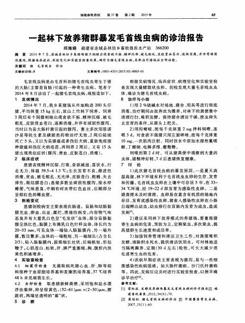 一起林下放养猪群暴发毛首线虫病的诊治报告