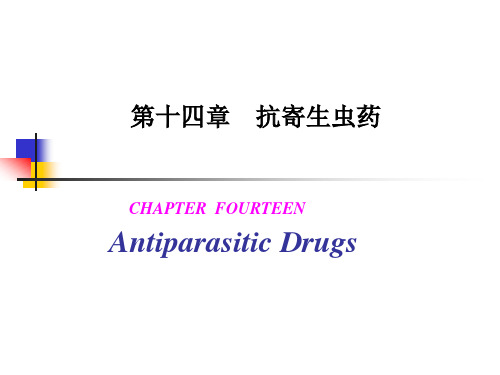 14抗寄生虫药